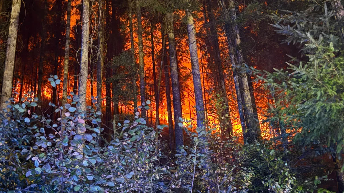 Brand in Schramberg: Die Glutnester im Schwarzwald halten sich hartnäckig