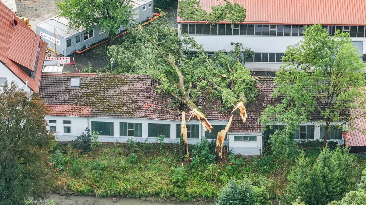 Bäume umgestürzt, Keller nass: Wetterwechsel mit Wumms: Hier stürmte es besonders stark