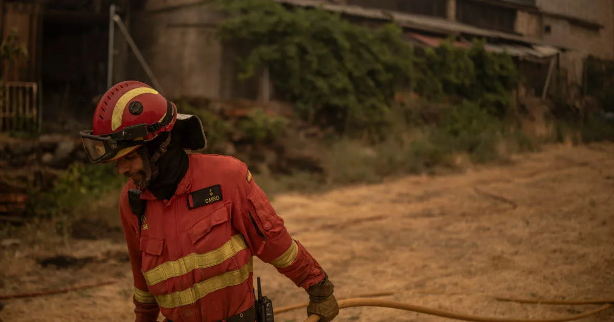 Espagne. Feu de forêt près de Marbella : trois blessés et 9 500 habitants appelés à se confiner