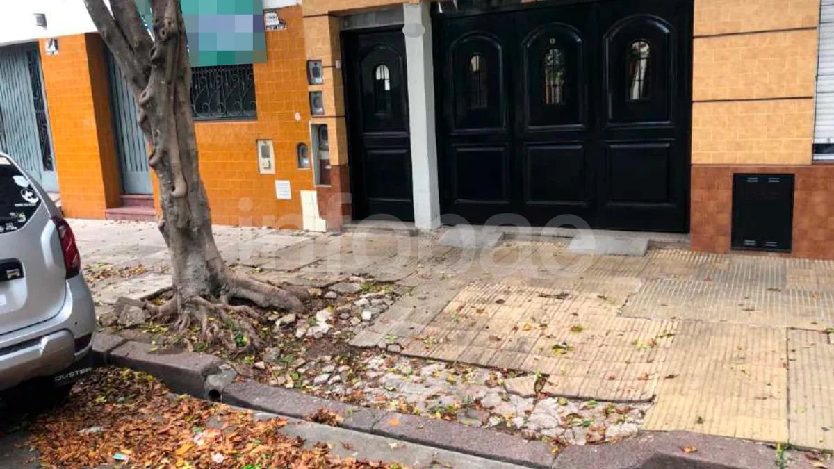 Una jubilada cayó en una vereda con baldosas rotas por las raíces de un árbol: la Justicia definió quién deberá indemnizarla