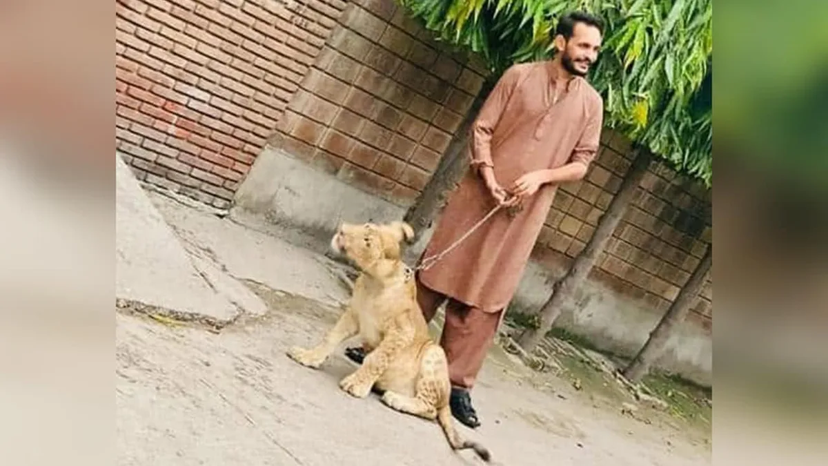 How Pak-Backed Handler Shahzad Bhatti Built Online Terror Network