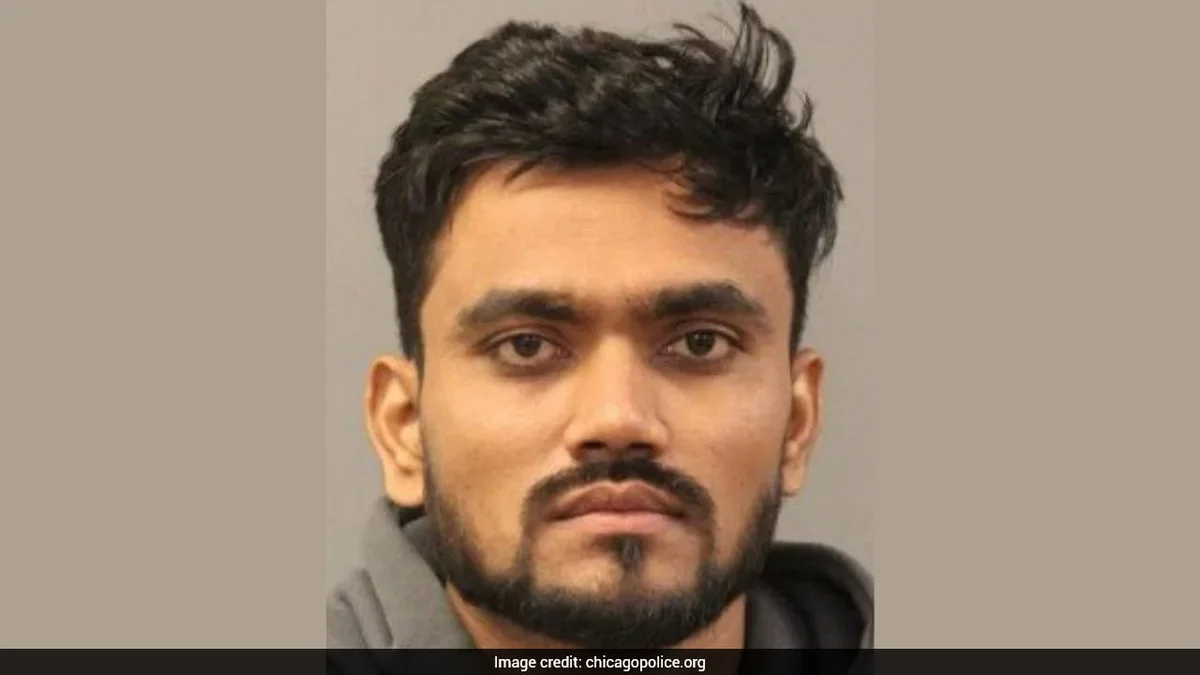 Indian-Origin Man In US Kills Wife For Dating Colleague, Tries To Go To India