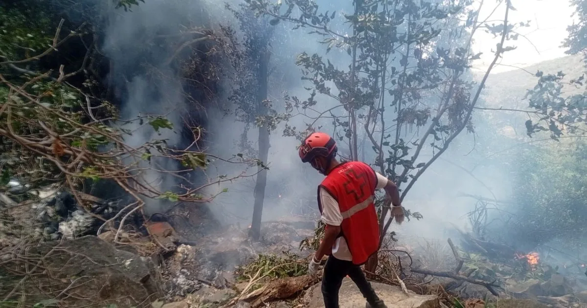 Se estrelló un helicóptero en Kenia y hay siete muertos, entre ellos el jefe de Inteligencia de Ecuador