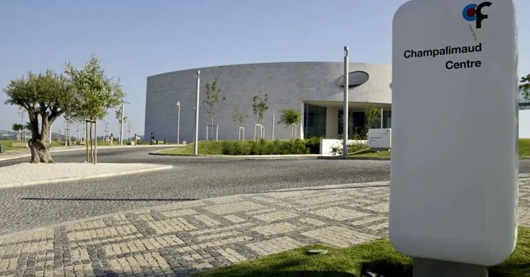Mais de 21 mil investigadores doutorados pedem bolsas à UE