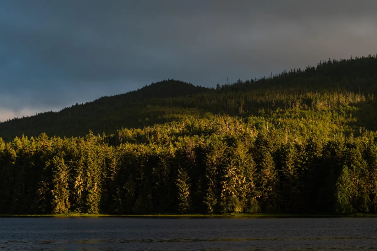 Trump’s latest assault on public lands
