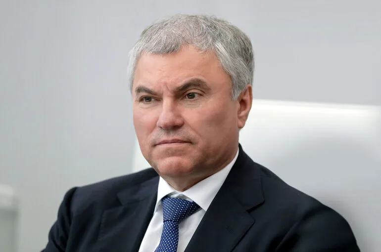 Володин обсудил с губернатором Самарской области вопросы развития региона