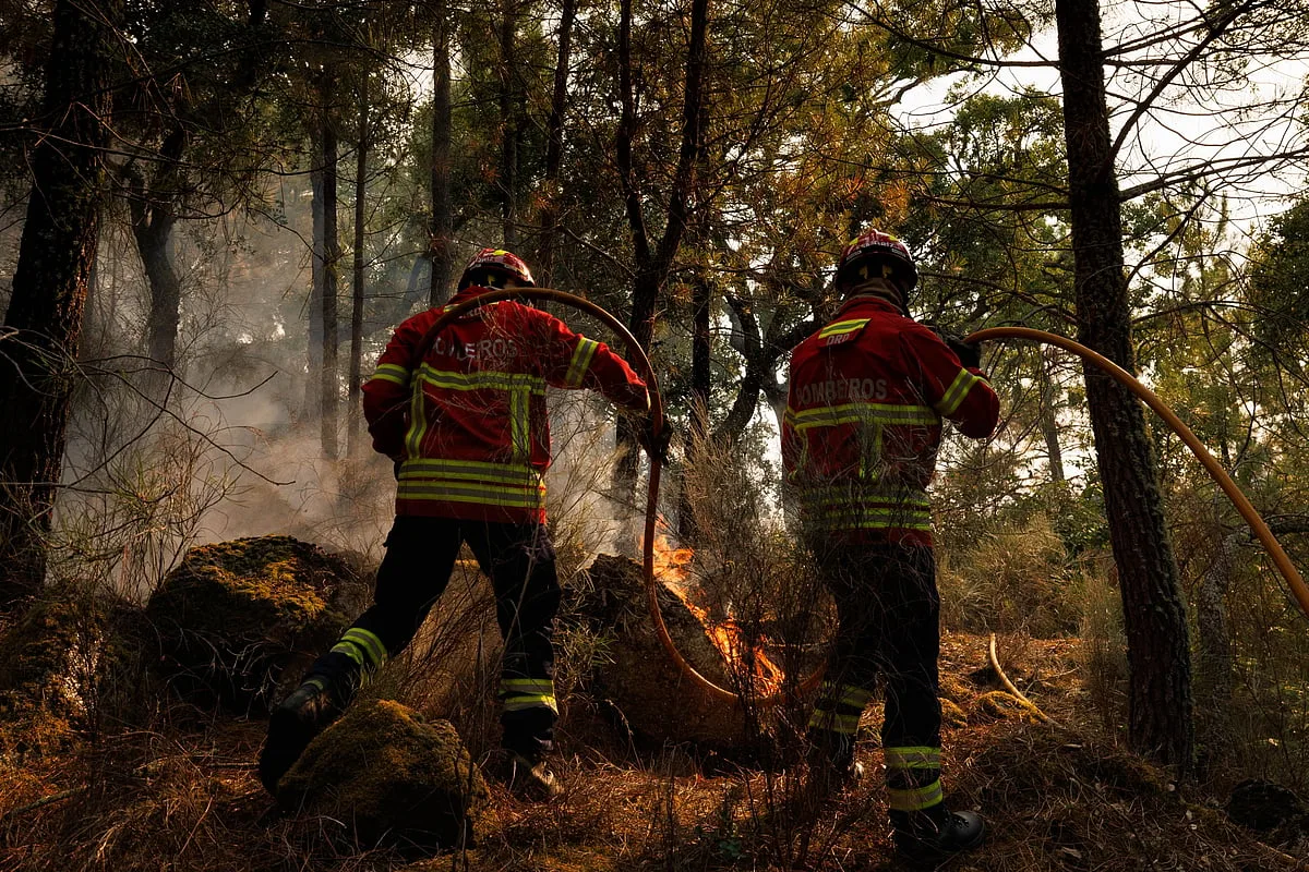 Veja registos do combate aos incêndios no Norte do país