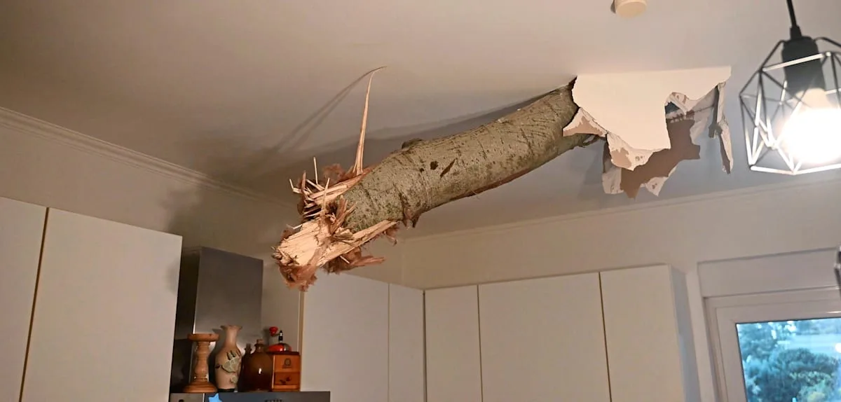Unwetter richten schwere Schäden in Deutschland an – Baum durchschlägt Küchendecke nach Tornado