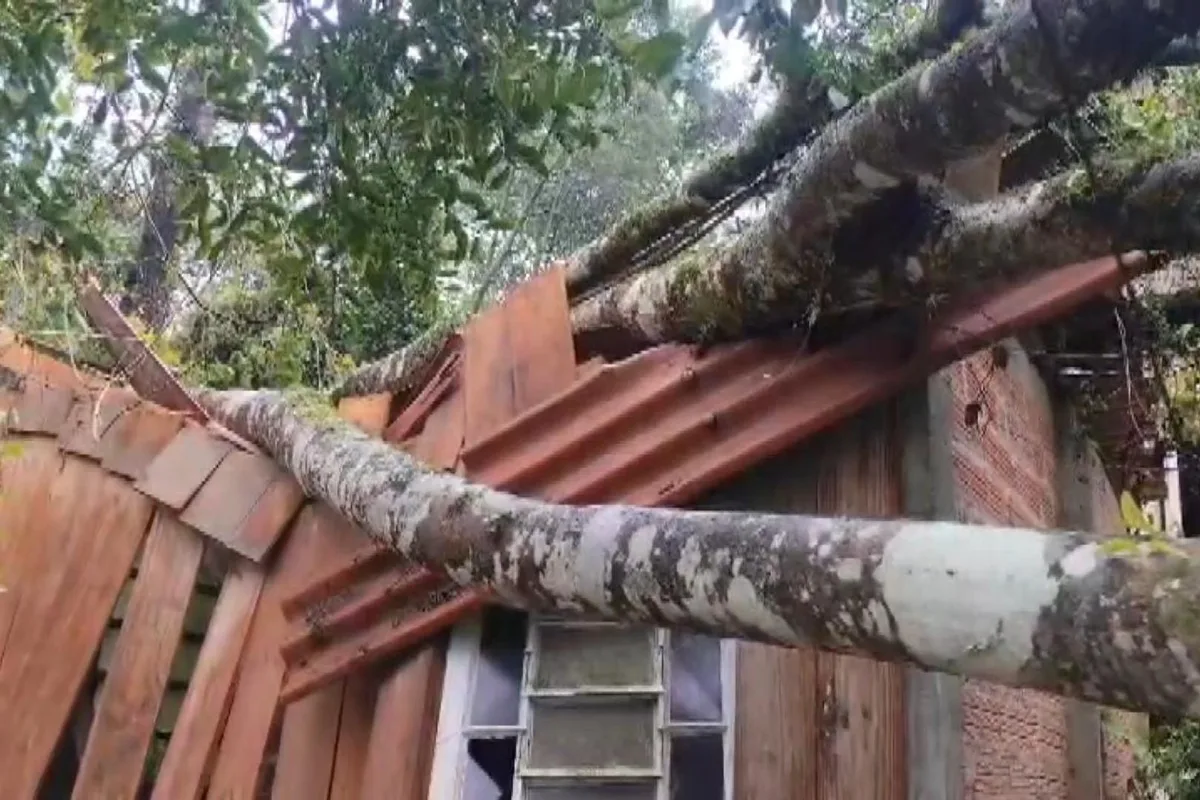 Temporal deixa ruas alagadas, derruba árvores e causa estragos em Curitiba e região; veja como fica o tempo nesta terça (1º)