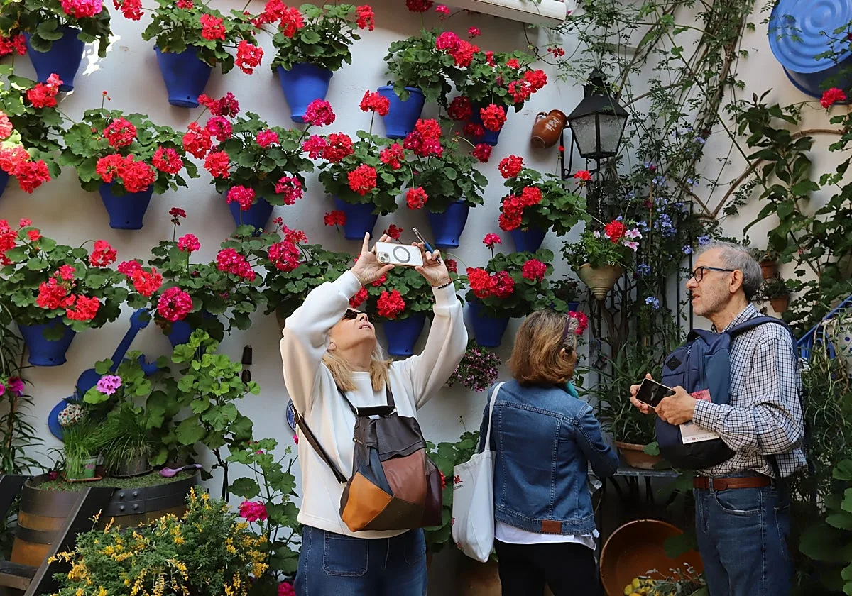 Los cuidadores de los Patios de Córdoba denuncian el retraso en los pagos de los premios accésit del pasado concurso