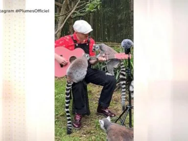 WATCH: Why 1 man is serenading animals across the globe