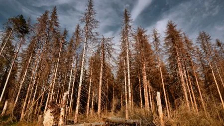 Klimaforscher: Europa wird häufiger Wetterextreme erleben