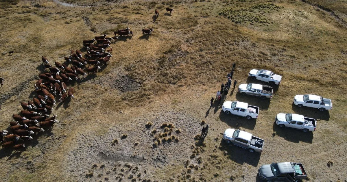 Una Patagonia diferente: estancias con tranqueras abiertas y caminos por fuera del mapa turístico