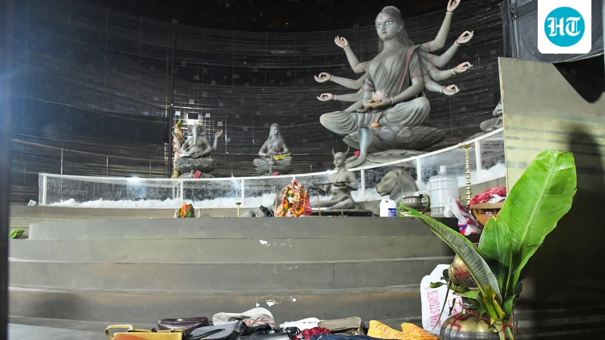‘Pandal will collapse, please leave’: Warning over mic set off Kolkata stampede, 19 dead