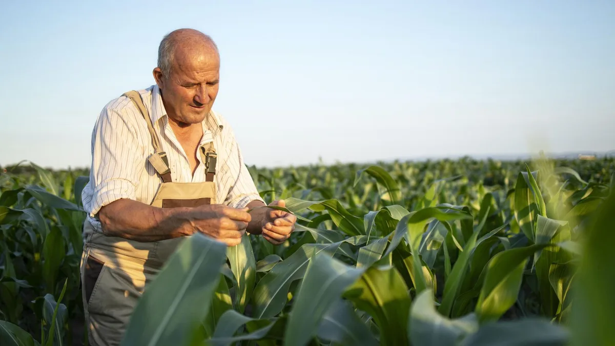 Fran Ibáñez, agricultor: “Antes era una agricultura de química y duro; un pañuelo hasta la nariz como mucho”