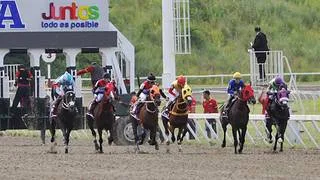 Favoritos de la cátedra para el 5y6 Nacional de la reunión N°41 en el hipódromo La Rinconada