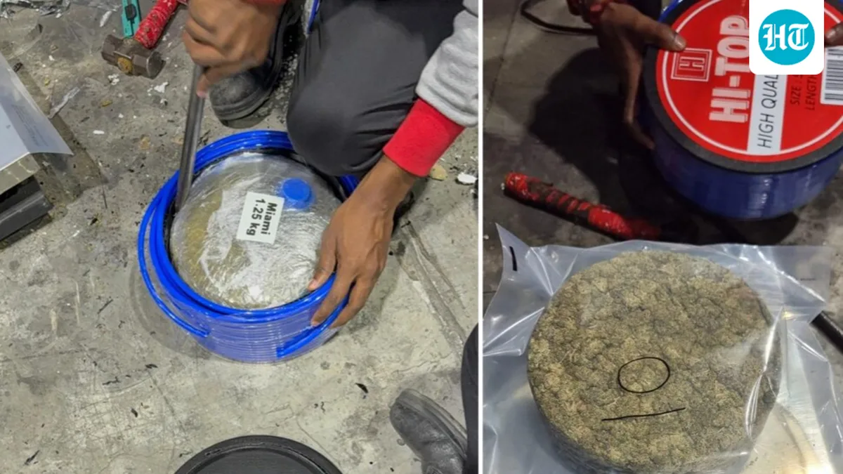 Delhi: Customs officials seize 148 kg of suspected cannabis hidden in plastic spools