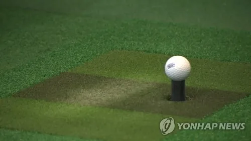용역업체 관계자와 해외골프…옹진군, 간부공무원 수사 의뢰