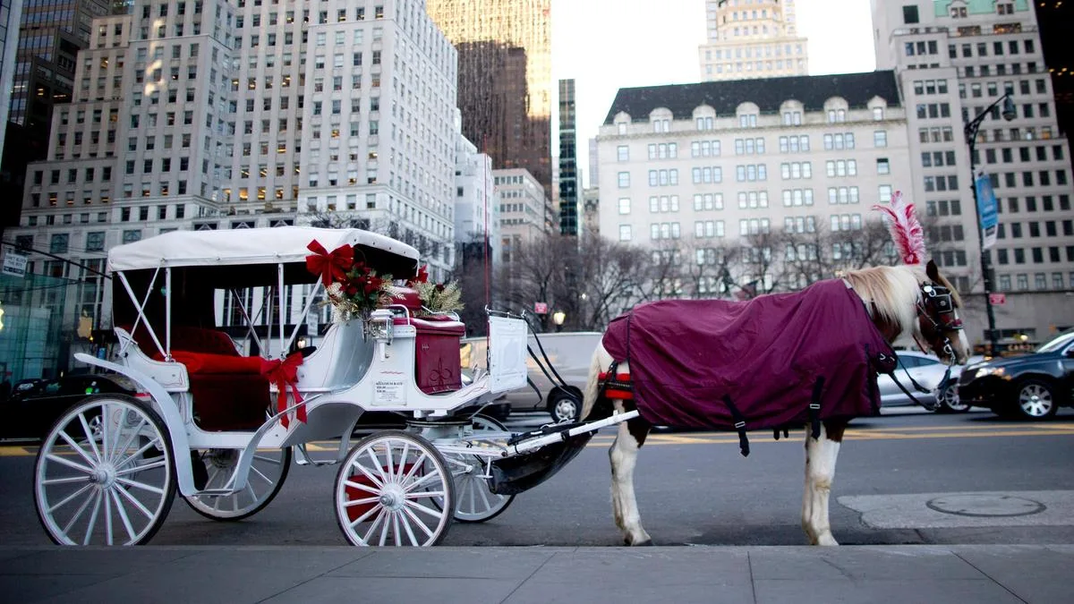 New York City set to end horse-drawn carriages under law named after Indian tourist