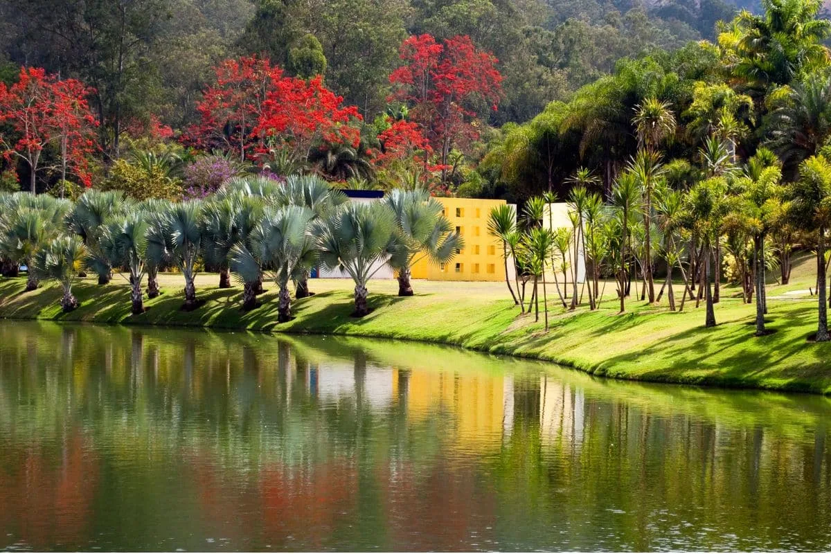 Inhotim: maior museu a céu aberto da América Latina celebra 20 anos com programação especial