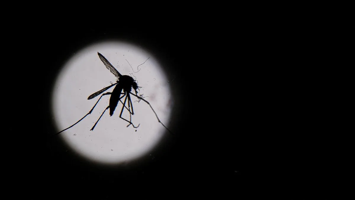 Dengue cases in West Bengal cross 4,000, seven dead; CM says situation under control