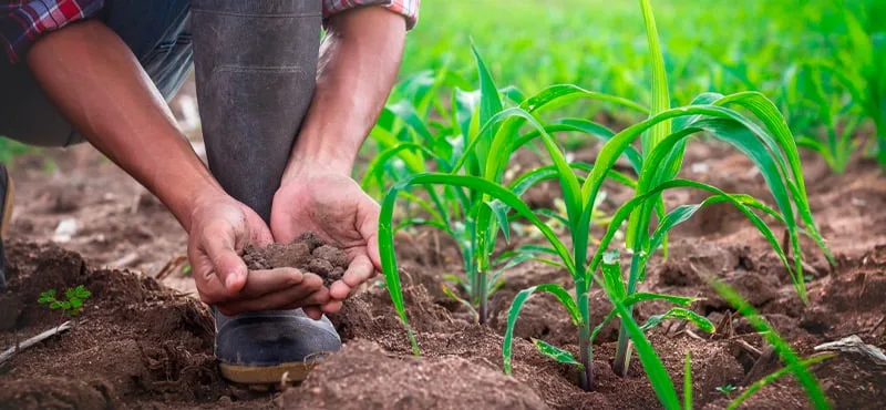O agro sustenta o PIB. Quem sustenta o produtor?