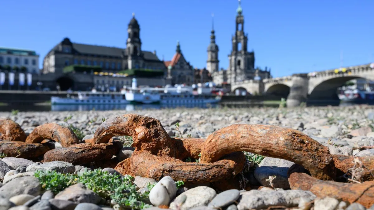 Niedrigwasser: Zu wenig Wasser: Fährverkehr auf der Elbe eingeschränkt