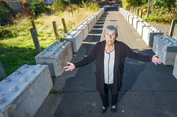 Gran, 81, hits out at Reform's Derbyshire County Council as 'Lego-style' blocks appear outside home