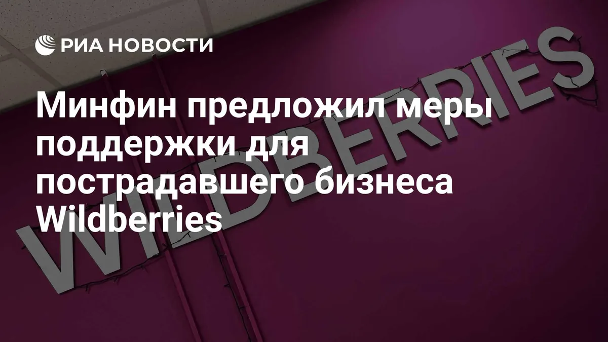Минфин предложил меры поддержки для пострадавшего бизнеса Wildberries