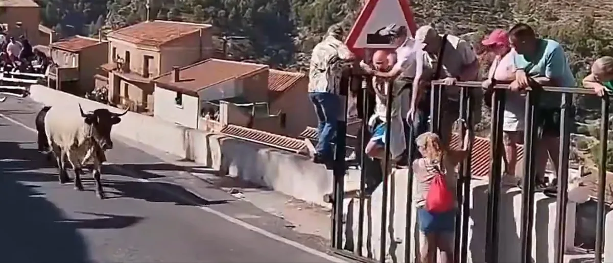 Una mujer de 64 años murió tras ser corneada por un toro durante un evento en España