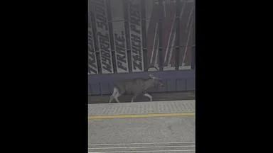 Elch "Emil" legt Warschauer Hauptbahnhof lahm