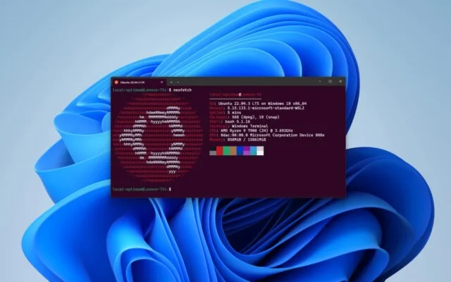 Ubuntu surpreende e cresce mais rápido no Windows 11 do que no Linux nativo