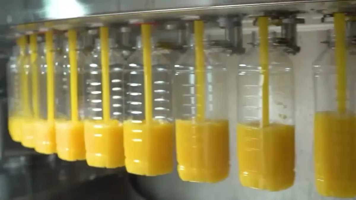 Preço da laranja cai 75% em quase dois anos, impactando mercado