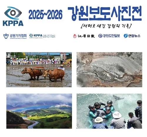 강원사진기자협회, '2025∼2026 보도사진전' 도청서 개최