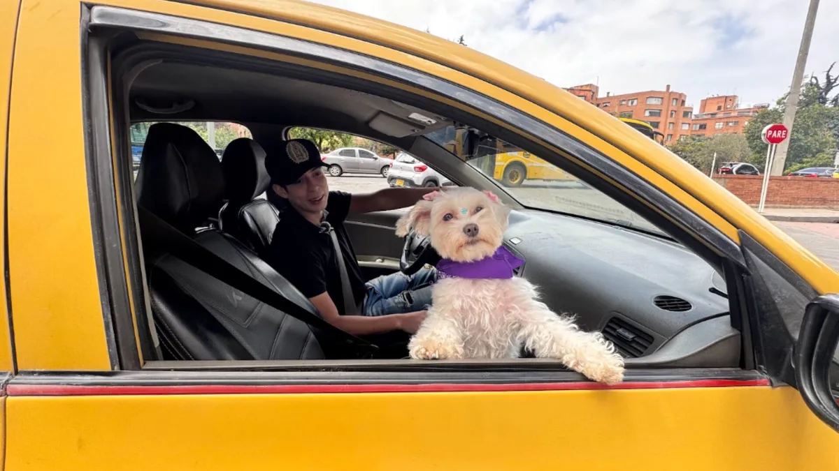 Viajar con mascotas en app de transporte se multiplicó por 2,5 en un año en Colombia