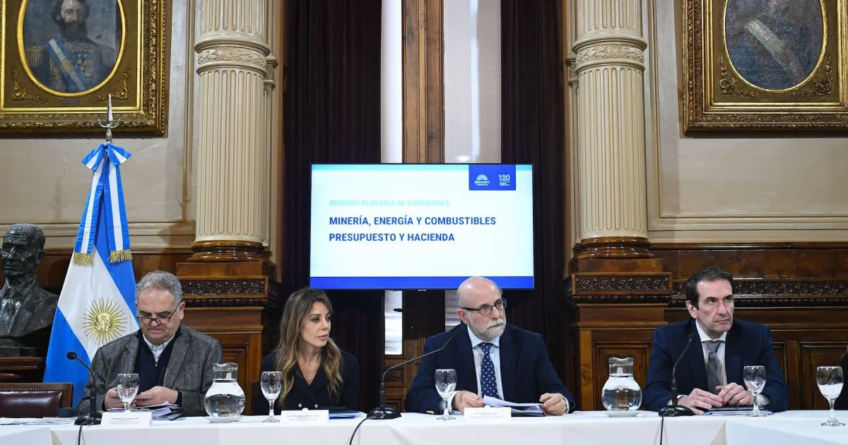 El Senado debate la reforma de biocombustibles: buscan subir los cortes, pero crece el rechazo de las pymes y gobernadores