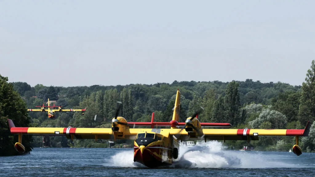 France: après les incendies de juillet, la forêt de Fontainebleau de nouveau accessible au public