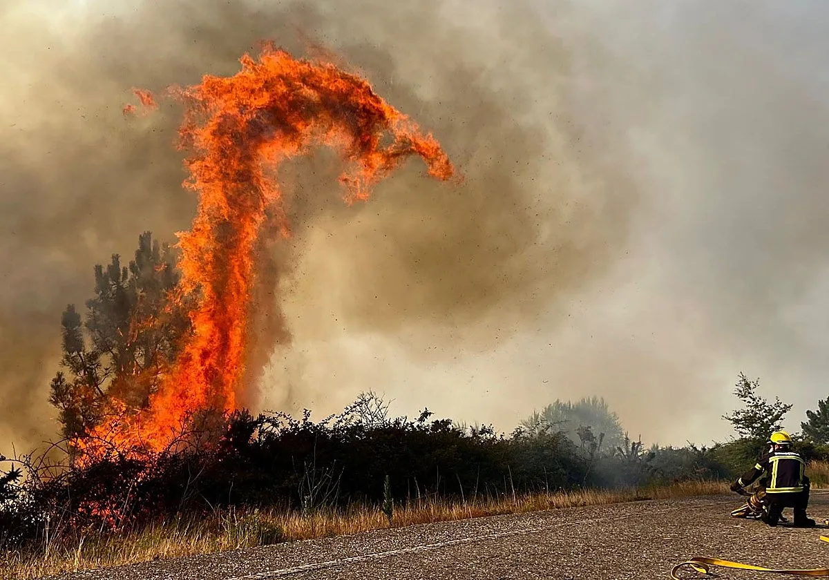 Activo un incendio en A Lama (Pontevedra), que afecta a unas 20 hectáreas y se aproximó a las casas
