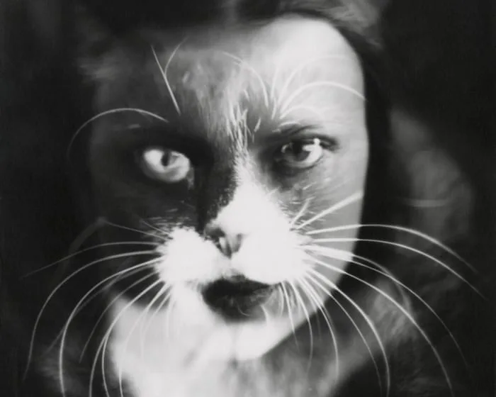 The cat that fought Mussolini: how the Wulz photography sisters weaponised the family pet