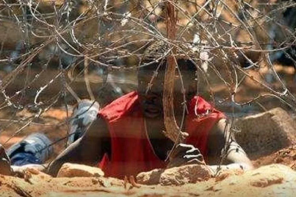 Police working hard to curb Limpopo cross-border crime: Scheepers