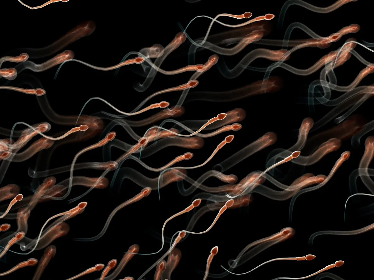 Sperm with DNA damage might be the true cause of repeated miscarriages