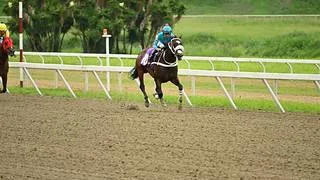 Princesa Fina desafía a los machos en la XXI Copa Invitacional del Caribe (GI)