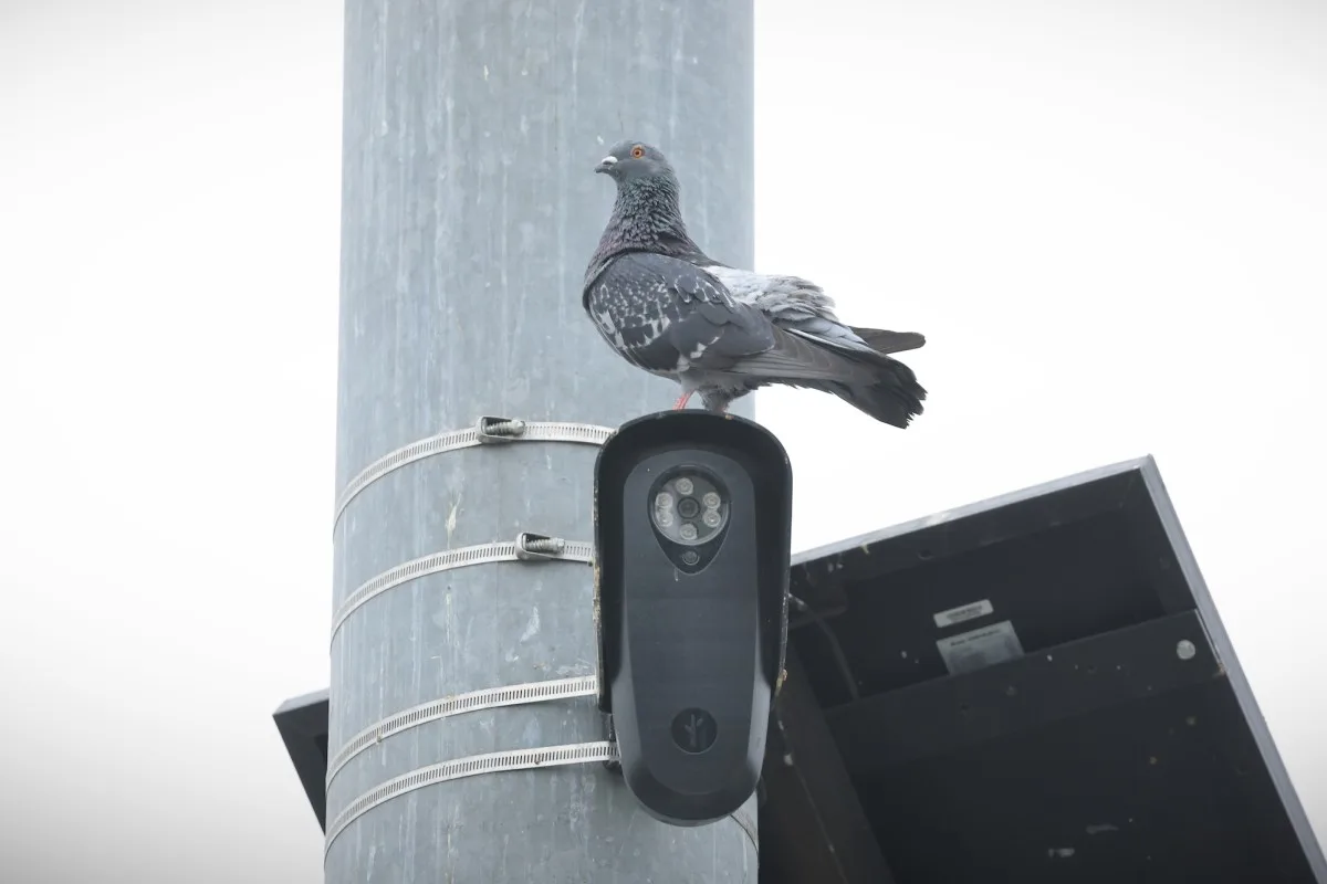Florida and Texas move to block Flock cameras over privacy concerns