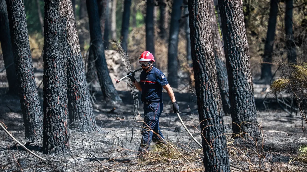 Sept parlementaires missionnés pour finaliser un texte sur la prévention et la lutte contre les feux de forêts d'ici un mois