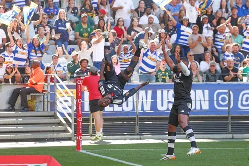 ‘A thing of beauty’: Breyton Paulse challenges Seabelo Senatla to keep the Stormers backflip alive