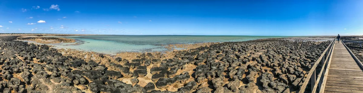 Earth’s oldest evidence of life is written in stone – but it’s at risk of disappearing
