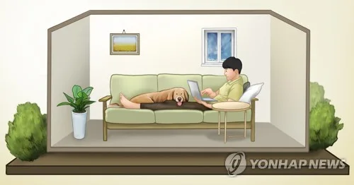 서울 1인가구, 거주지 따라 자산격차 최대 2.4배…서초구 1위