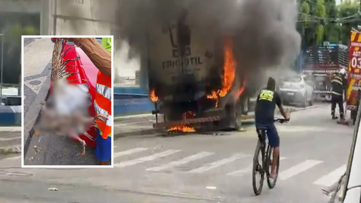 Pássaro morre eletrocutado, rompe cabo de energia e causa incêndio em caminhão em Fortaleza; vídeo