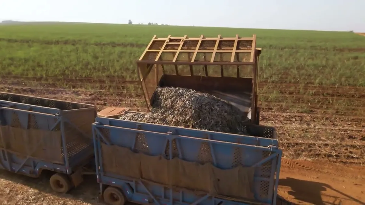 Empresas do agronegócio têm até 31 para informar investimentos e reduzir impostos