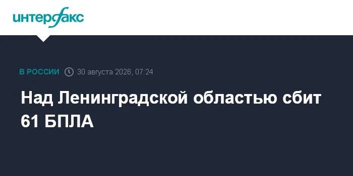 Над Ленинградской областью сбит 61 БПЛА